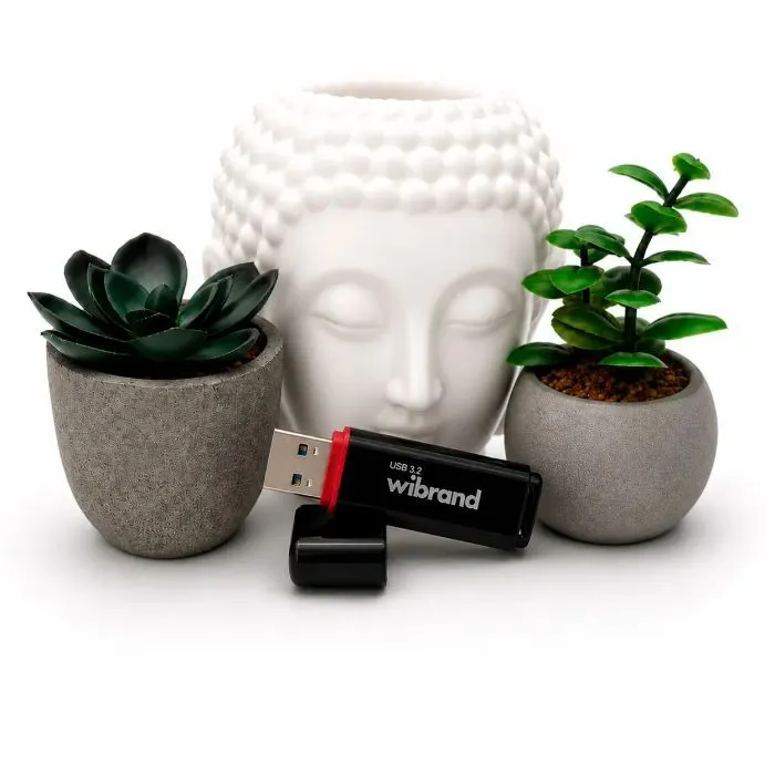 USB флеш накопитель Wibrand 32GB Scarab Black USB 3.2 (WI3.2/SC32P11B) изображение 5
