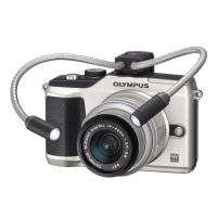 Вспышка Olympus MAL-1 Macro Arm Light (N4289900) изображение 5