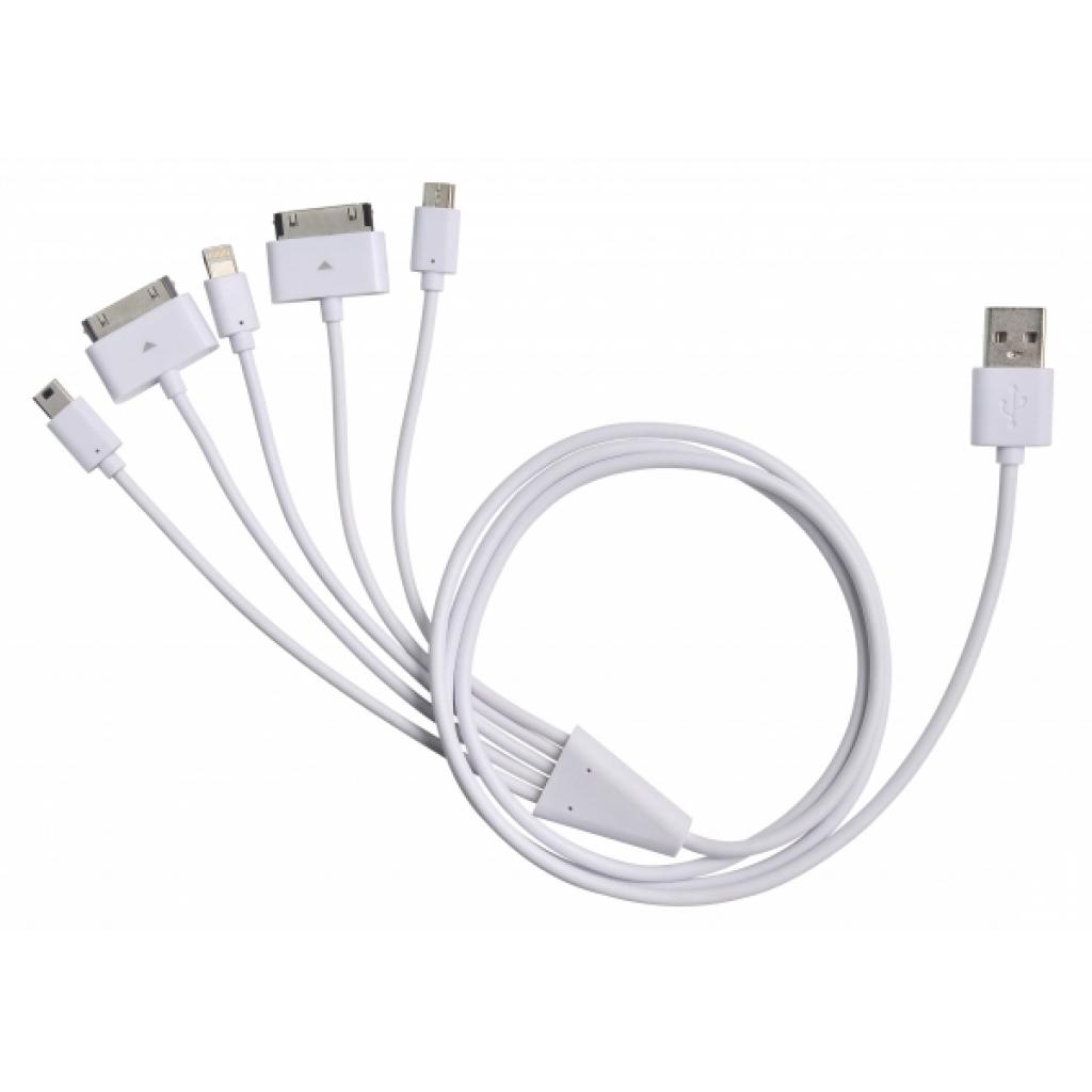 Дата кабель USB 2.0 Lightning charge/sync cable + 4 type charge InnoAX (CH-USB-C5)