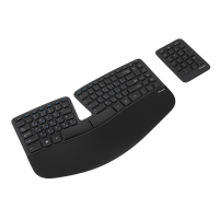 Комплект Microsoft Sculpt Ergonomic Desktop (L5V-00017) изображение 4