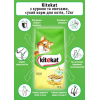 Сухой корм для кошек Kitekat Курица с овощами 12 кг (5900951013072) изображение 4
