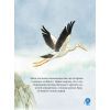 Книга Чарівні сни - Анна Казаліс Vivat (9786171700499) изображение 7