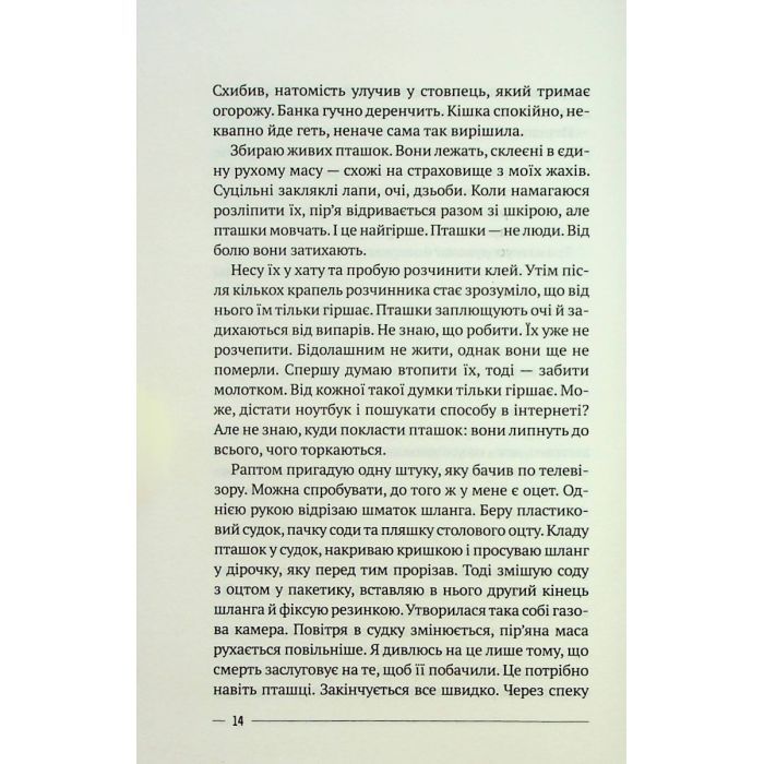 Книга Останній дім на безпечній вулиці - Катріона Ворд Vivat (9789669828538) зображення 10