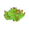 Декорация в аквариум Deming Glowing Коралл-актиния пузырчатая набор 5 штук (цвета в ассортименте) (2700000013786)