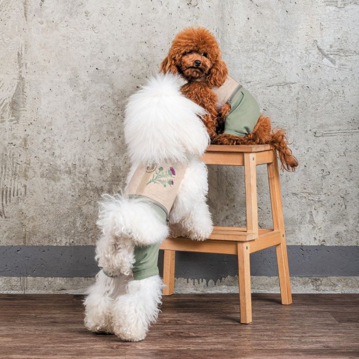 Костюм для тварин Pet Fashion Patrik S (4823082434411) зображення 7