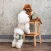 Костюм для тварин Pet Fashion Patrik S (4823082434411) зображення 7