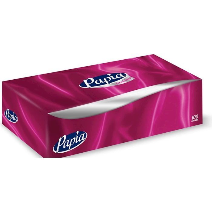 Салфетки косметические Papia 2 слоя 100 шт. (8690536020447)