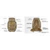 Рюкзак туристический 2E 90L, LargeCap, Molle, камуфляж (2E-TACTLARGBKP-90L-CP) изображение 33