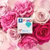Пластика Fimo Effect, Ботаніка, сухоцвіт троянди, 57г (4007817152874) зображення 3