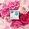 Пластика Fimo Effect, Ботаніка, сухоцвіт троянди, 57г (4007817152874) изображение 3