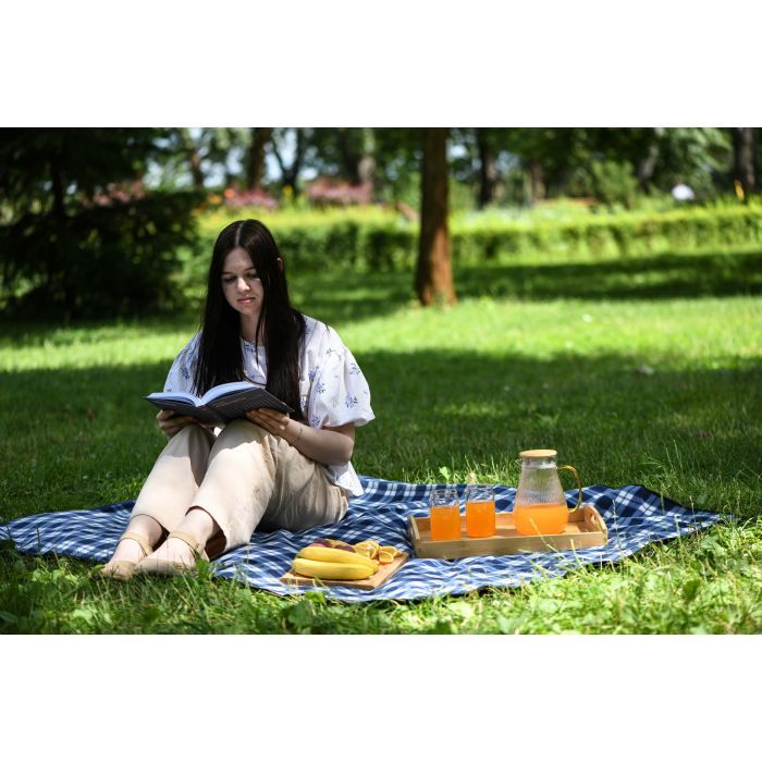 Плед Ardesto Picnic 130х170см, 100% поліестер, клітинка синій (ART0916BC) зображення 11