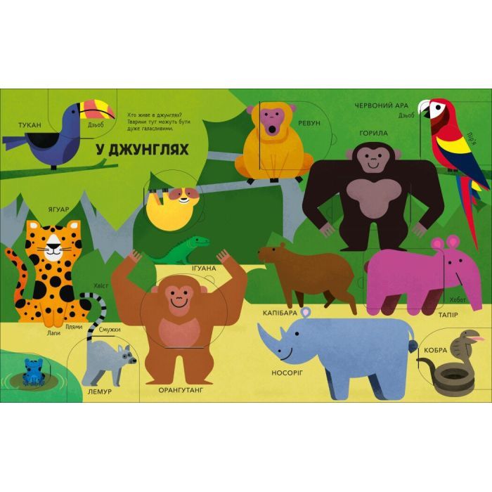 Книга Моя перша книга з віконцями. Тварини - Енн Макрей Ранок (9786170994011) изображение 3