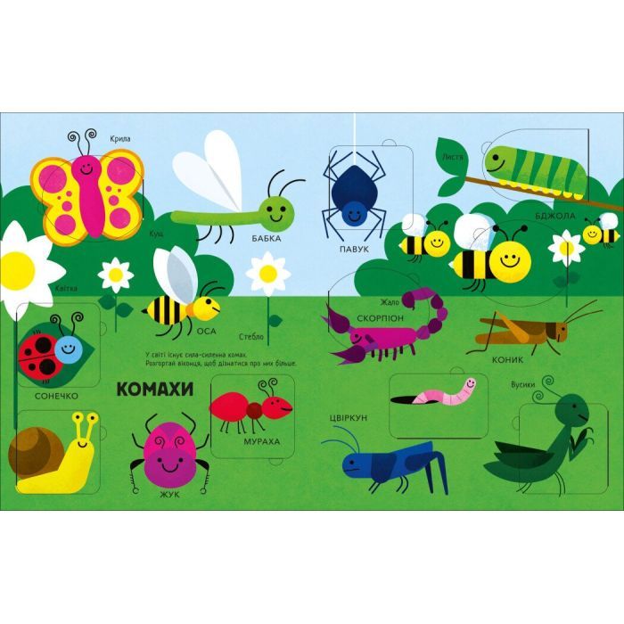 Книга Моя перша книга з віконцями. Тварини - Енн Макрей Ранок (9786170994011) зображення 5