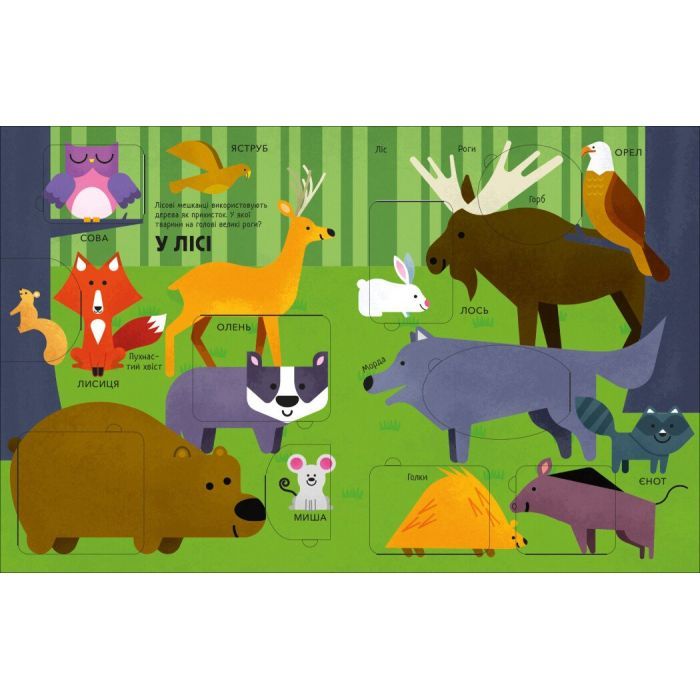 Книга Моя перша книга з віконцями. Тварини - Енн Макрей Ранок (9786170994011) зображення 6