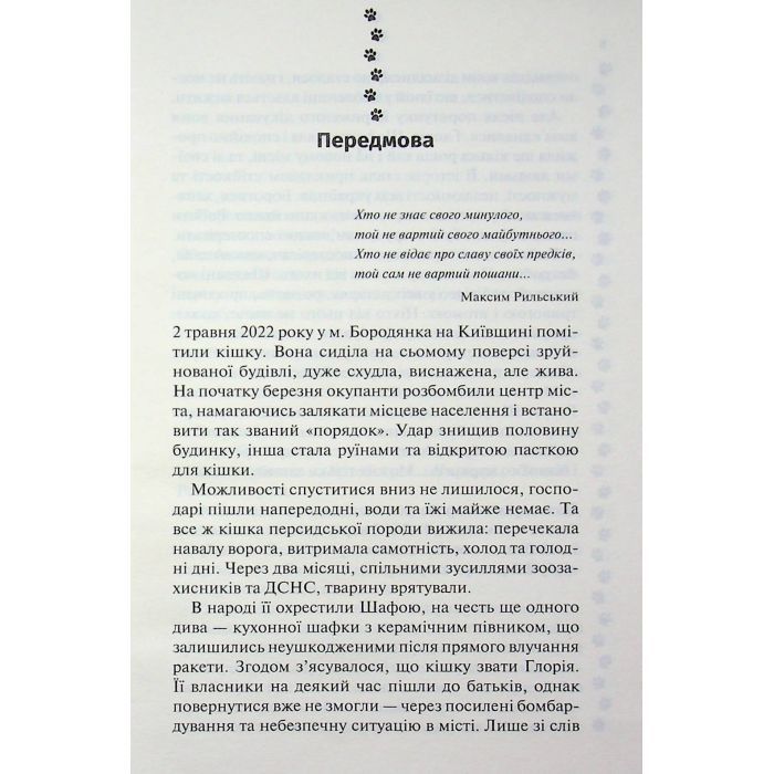 Книга 9 життів кішки Шафи - Руслана Фалько КСД (9786171519220) изображение 5