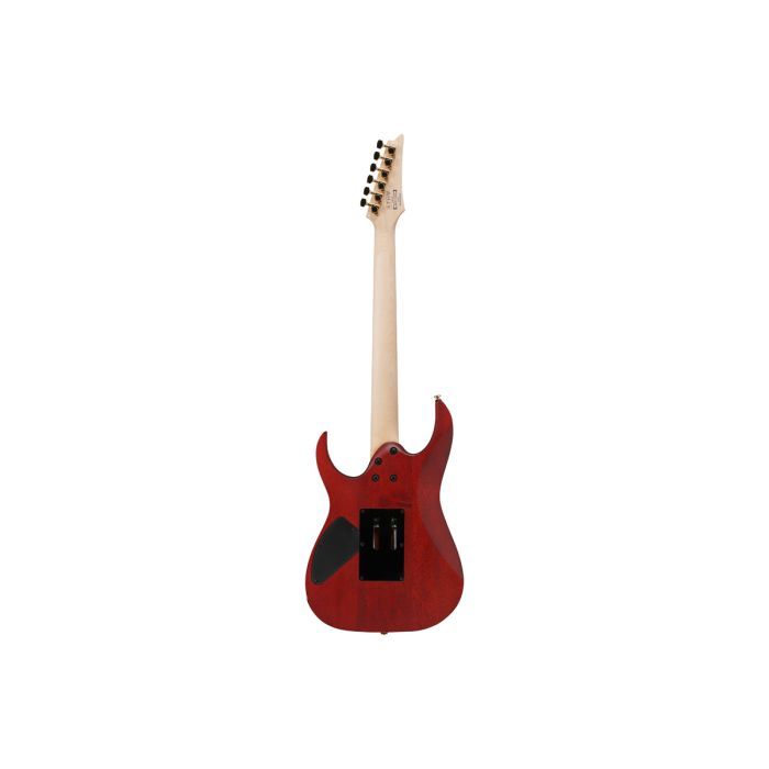 Електрогітара Ibanez RGR420FMSP-TGF (302362) зображення 2