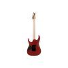 Електрогітара Ibanez RGR420FMSP-TGF (302362) зображення 2