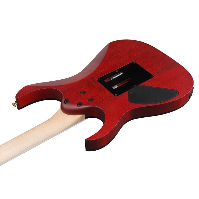 Електрогітара Ibanez RGR420FMSP-TGF (302362) зображення 5