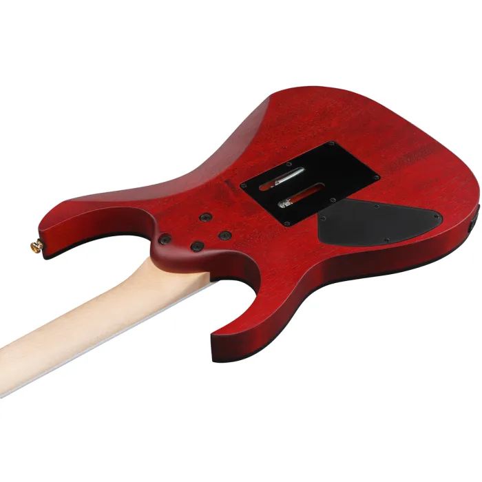 Электрогитара Ibanez RGR420FMSP-TGF (302362) изображение 5
