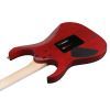 Електрогітара Ibanez RGR420FMSP-TGF (302362) зображення 5