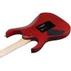 Электрогитара Ibanez RGR420FMSP-TGF (302362) изображение 5