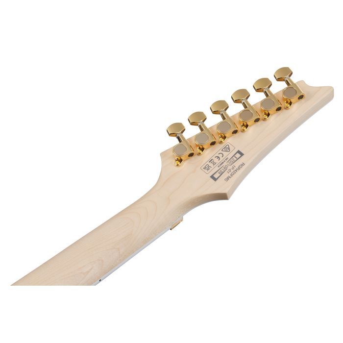 Електрогітара Ibanez RGR420FMSP-TGF (302362) зображення 7