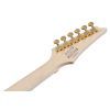 Електрогітара Ibanez RGR420FMSP-TGF (302362) зображення 7