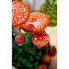 Конструктор LEGO Botanicals Лісові гриби (11505) зображення 12