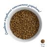Сухой корм для кошек Home Food KITTEN Fresh Chicken 200 г (4820290090187) изображение 4