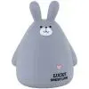 Игровой набор Kite Копилка Grey Bunny (K25-498-8)