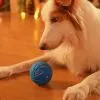 Игрушка для собак Cheerble Wicked Ball Air (Royal Blue) (CWQ01B) изображение 3