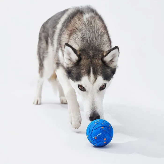 Игрушка для собак Cheerble Wicked Ball Air (Royal Blue) (CWQ01B) изображение 4