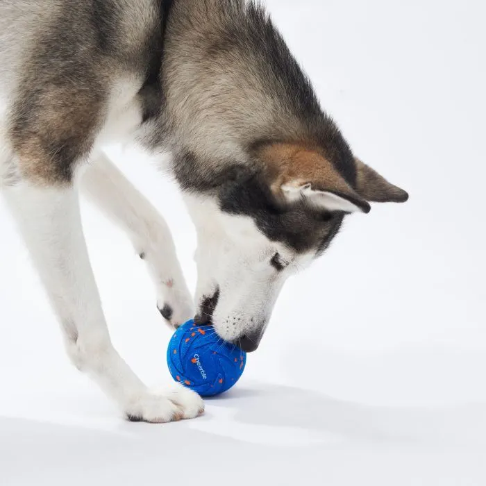 Игрушка для собак Cheerble Wicked Ball Air (Royal Blue) (CWQ01B) изображение 5