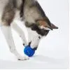 Игрушка для собак Cheerble Wicked Ball Air (Royal Blue) (CWQ01B) изображение 5