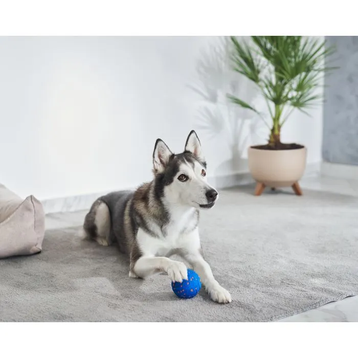 Игрушка для собак Cheerble Wicked Ball Air (Royal Blue) (CWQ01B) изображение 6