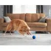 Игрушка для собак Cheerble Wicked Ball Air (Royal Blue) (CWQ01B) изображение 9