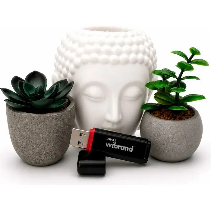 USB флеш накопитель Wibrand 64GB Scarab Black USB 3.2 (WI3.2/SC64P11B) изображение 4