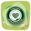 Гигиенические прокладки Naturella Ultra Maxi (Размер 3) 16 шт. (8001090586032) изображение 9
