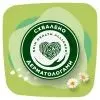 Гигиенические прокладки Naturella Ultra Maxi (Размер 3) 16 шт. (8001090586032) изображение 9