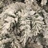 Різдвяний вінок Black Box Trees Dinsmore Frosted 45 см (8718861289022) зображення 2