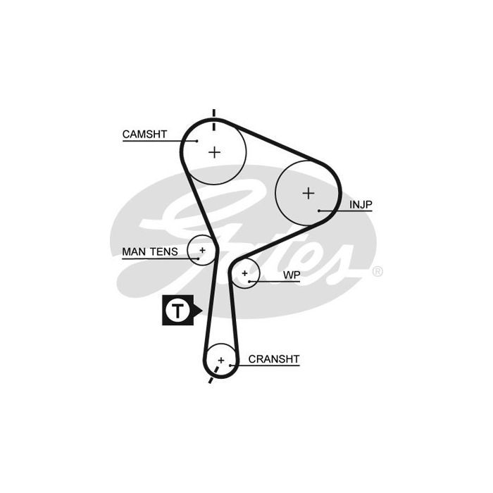 Ремінь ГРМ Gates 5552XS