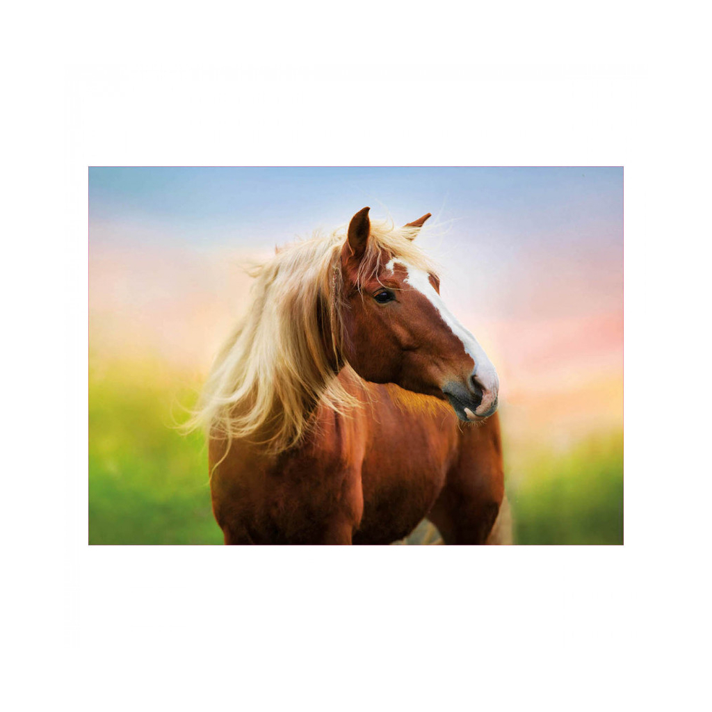 Пазл Educa Лошадь на рассвете 500 элементов (6336984) изображение 2