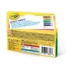 Фломастеры Crayola Metallic, 6 шт (58-8828) изображение 5