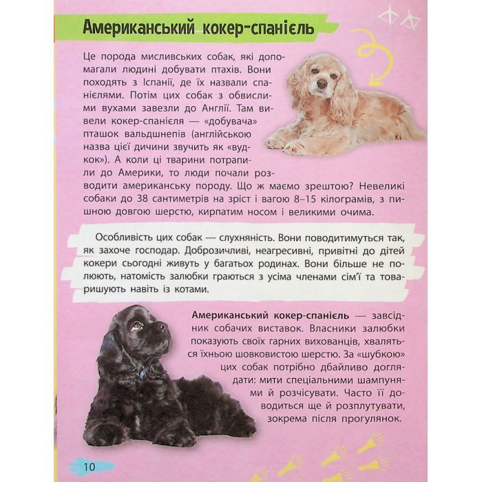 Книга Мініенциклопедія. Хатні улюбленці Vivat (9789669827241) зображення 10
