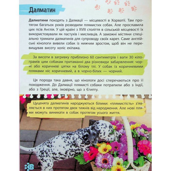 Книга Мініенциклопедія. Хатні улюбленці Vivat (9789669827241) зображення 12
