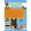 Книга Мініенциклопедія. Хатні улюбленці Vivat (9789669827241) зображення 2