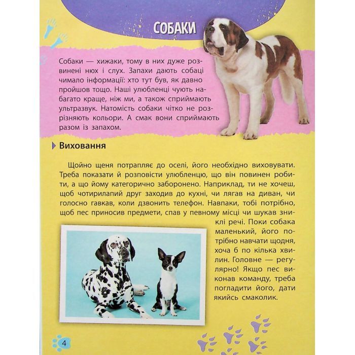 Книга Мініенциклопедія. Хатні улюбленці Vivat (9789669827241) зображення 4
