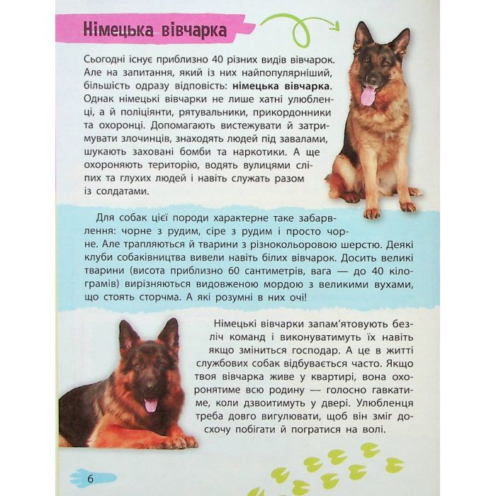 Книга Мініенциклопедія. Хатні улюбленці Vivat (9789669827241) зображення 6