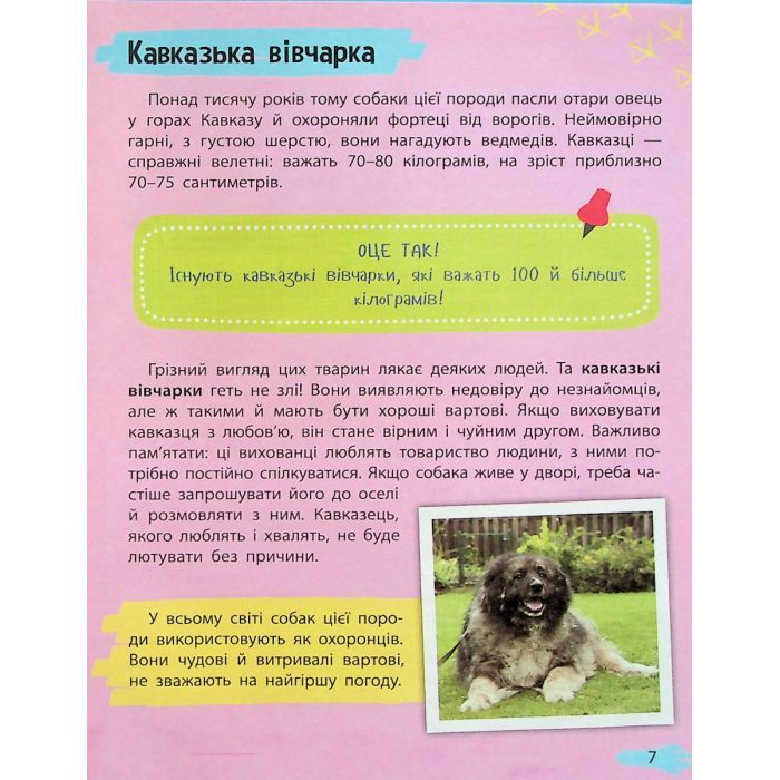 Книга Мініенциклопедія. Хатні улюбленці Vivat (9789669827241) зображення 7