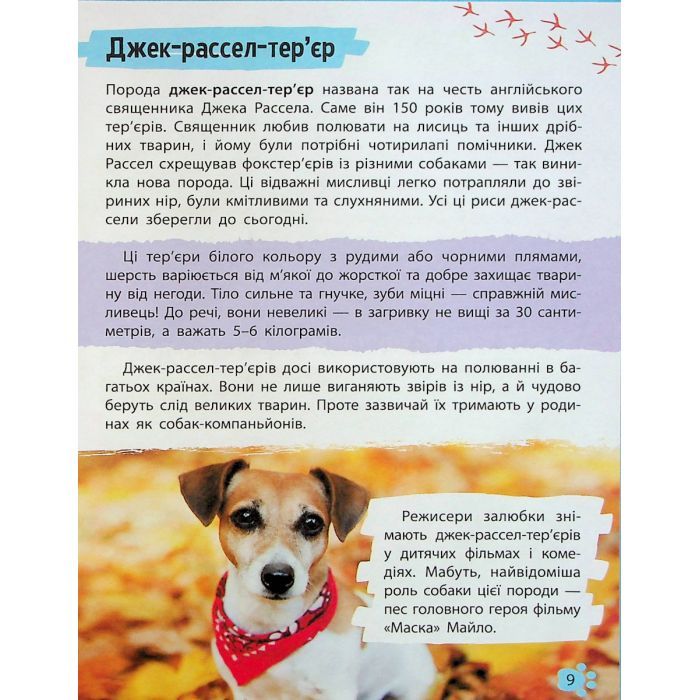 Книга Мініенциклопедія. Хатні улюбленці Vivat (9789669827241) зображення 9